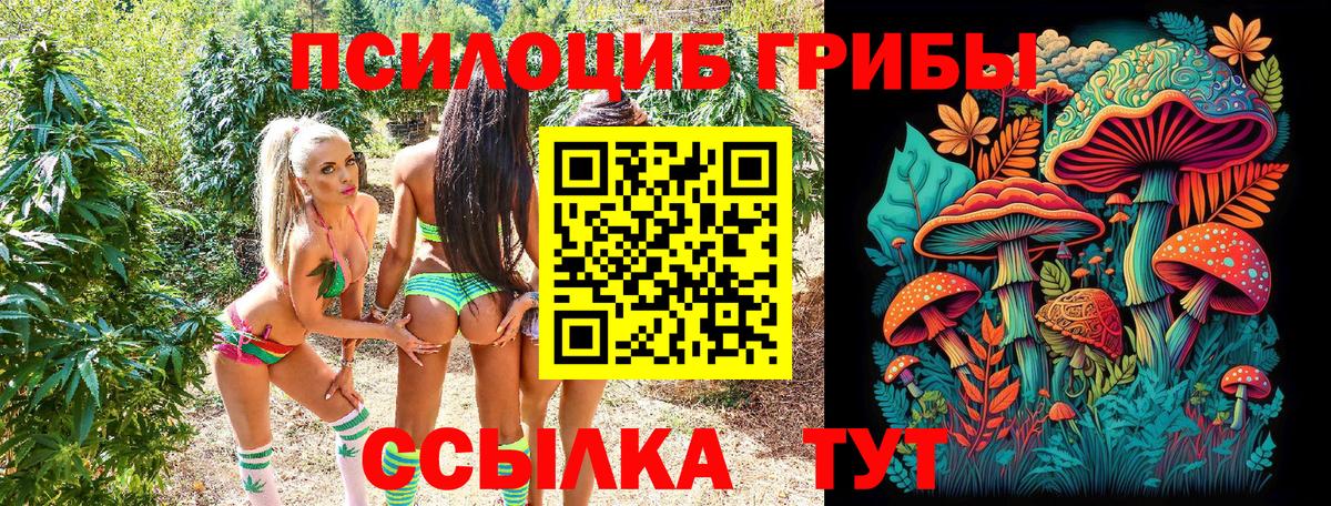 Псилоцибиновые грибы Magic Shrooms Асбест